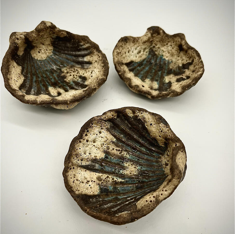 Shells by Elena Fetcher-Carter Shells by Elena Fetcher-Carter